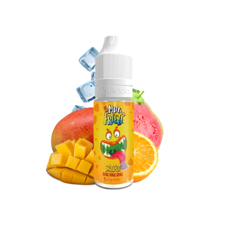 Salopiot Liquideo 10ml E-liquide Orange Mangue Goyave | LPVAP