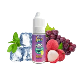 Vaurien Liquideo 10ml E-liquide Raisin Litchi Frais | LPVAP