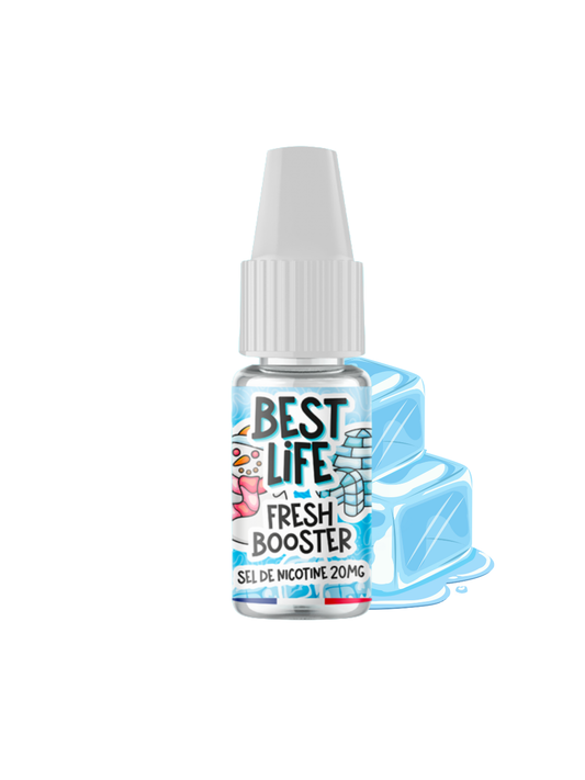 Fresh Booster Sel de Nicotine Best Life